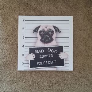 Pug Mugshot Canvas (20in×20in)